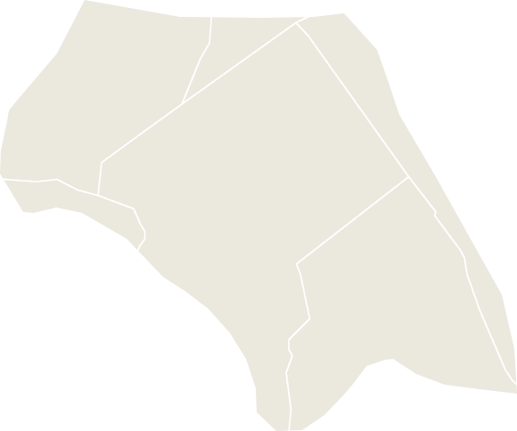 康桥湖农场电子地图