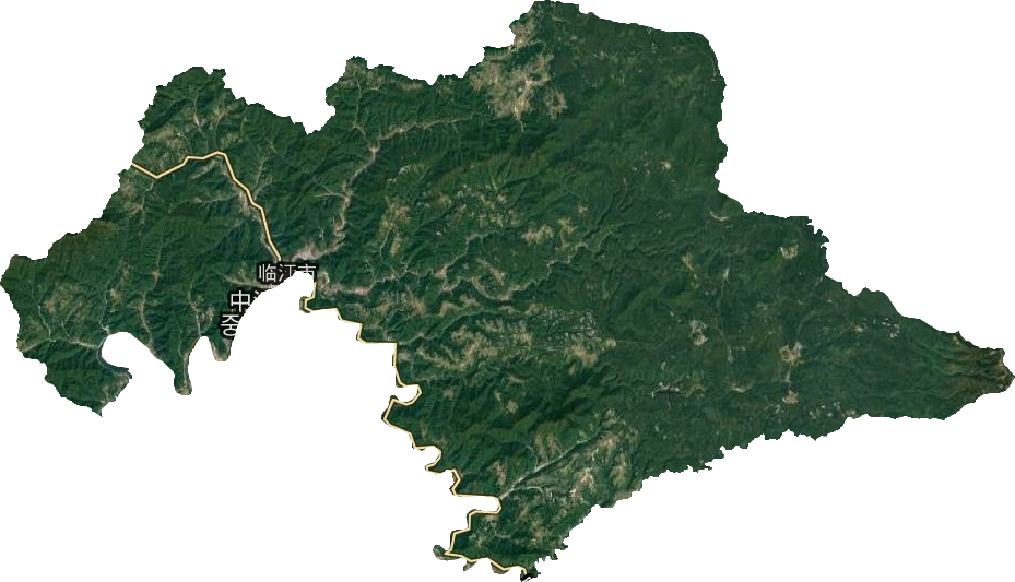 临江市卫星图