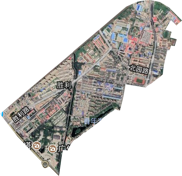胜利街道卫星图