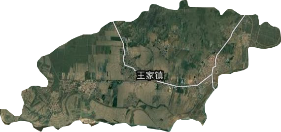 王家镇卫星图