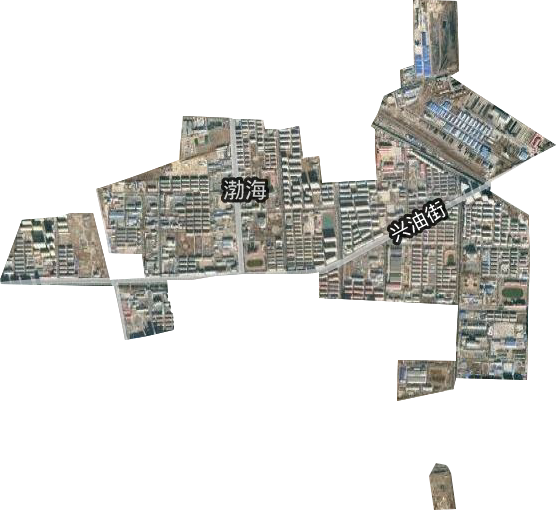 渤海街道卫星图