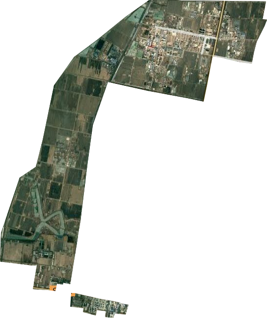 曙光街道卫星图