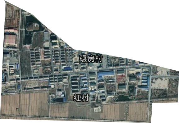 红村街道卫星图