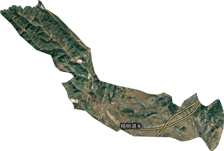 杨树湾乡卫星图