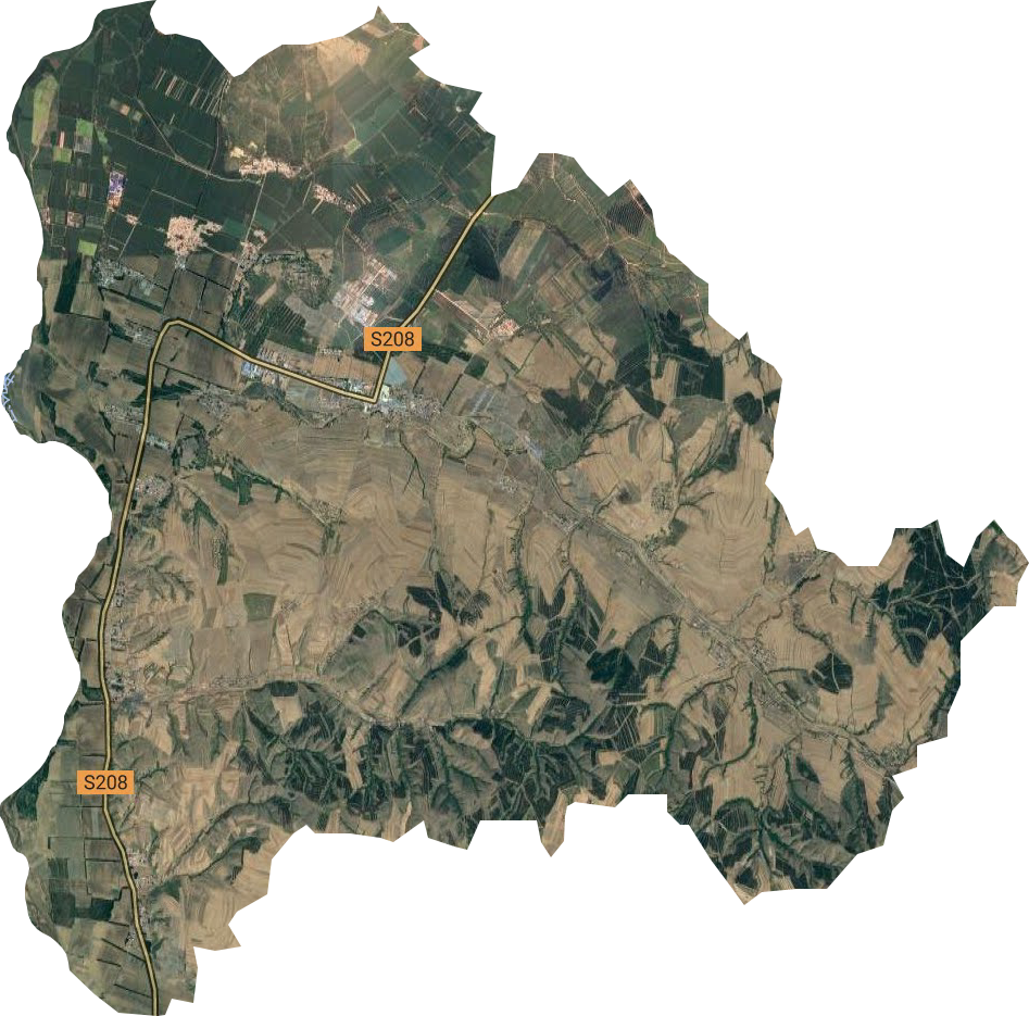 八家国营农场卫星图