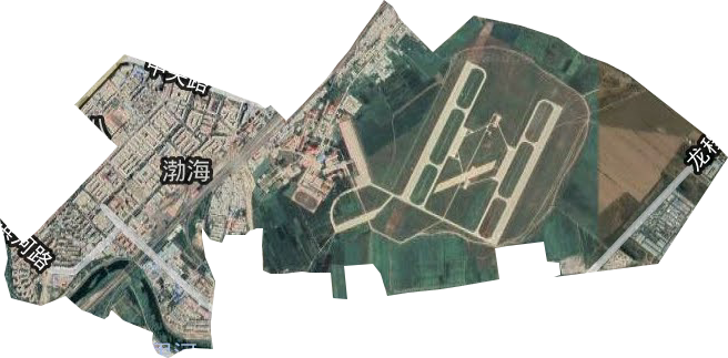 渤海街道卫星图