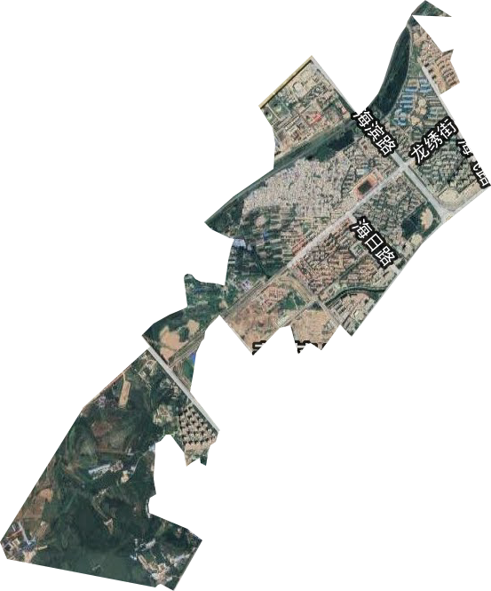 双龙街道卫星图