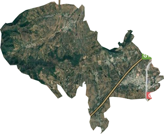 大台山果树农场卫星图