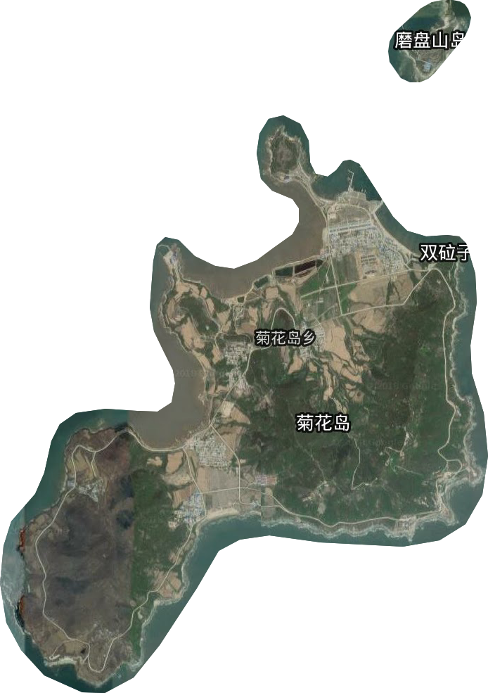 菊花街道卫星图