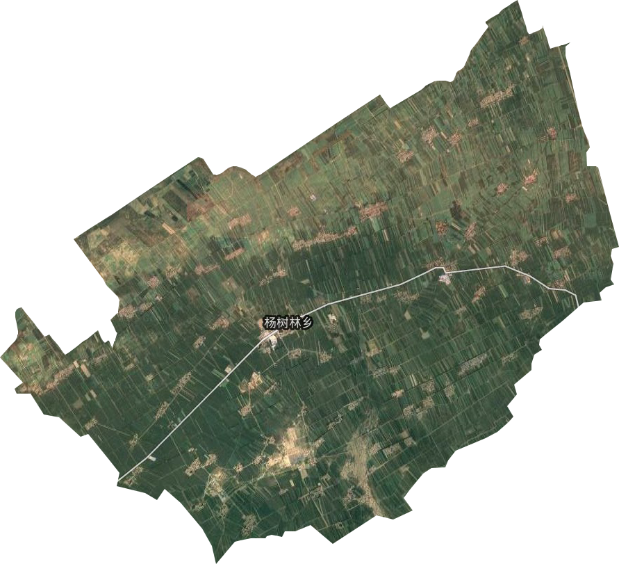 杨树林乡卫星图