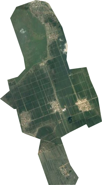 洼中高农场卫星图