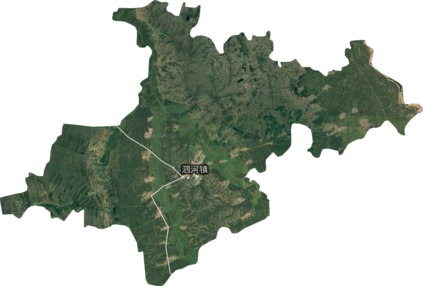 泗河镇卫星图