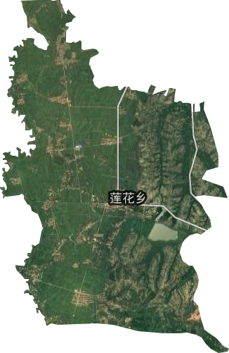 莲花乡卫星图