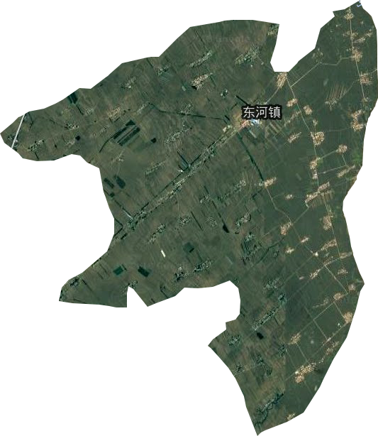 东河镇卫星图
