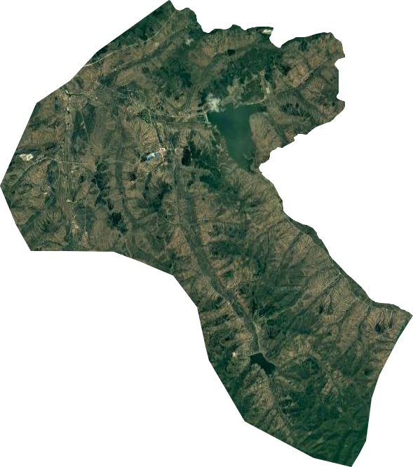二道镇卫星图