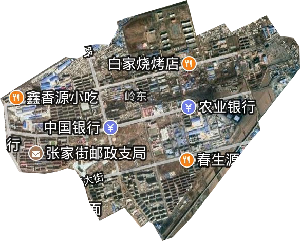 岭东街道卫星图