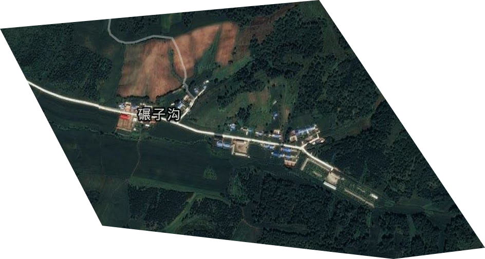 公主岭市鹿场卫星图