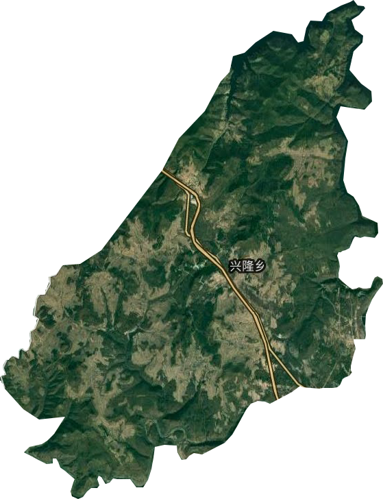 兴隆乡卫星图