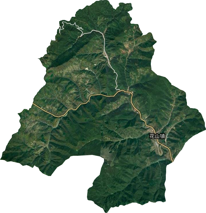 花山镇卫星图
