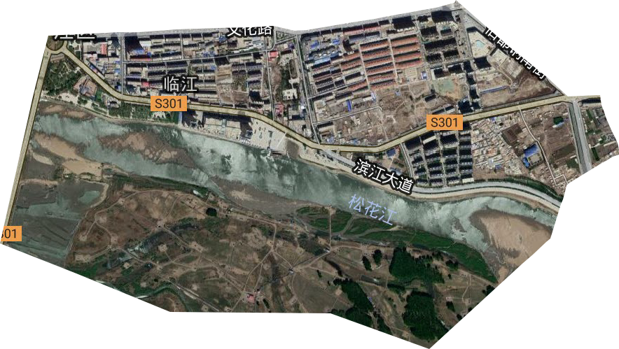 临江街道卫星图