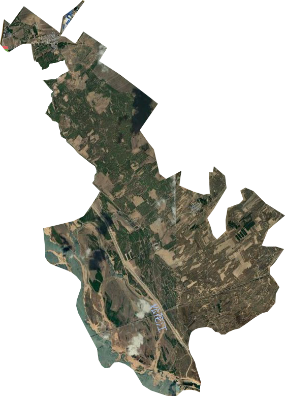 国营善友林场卫星图