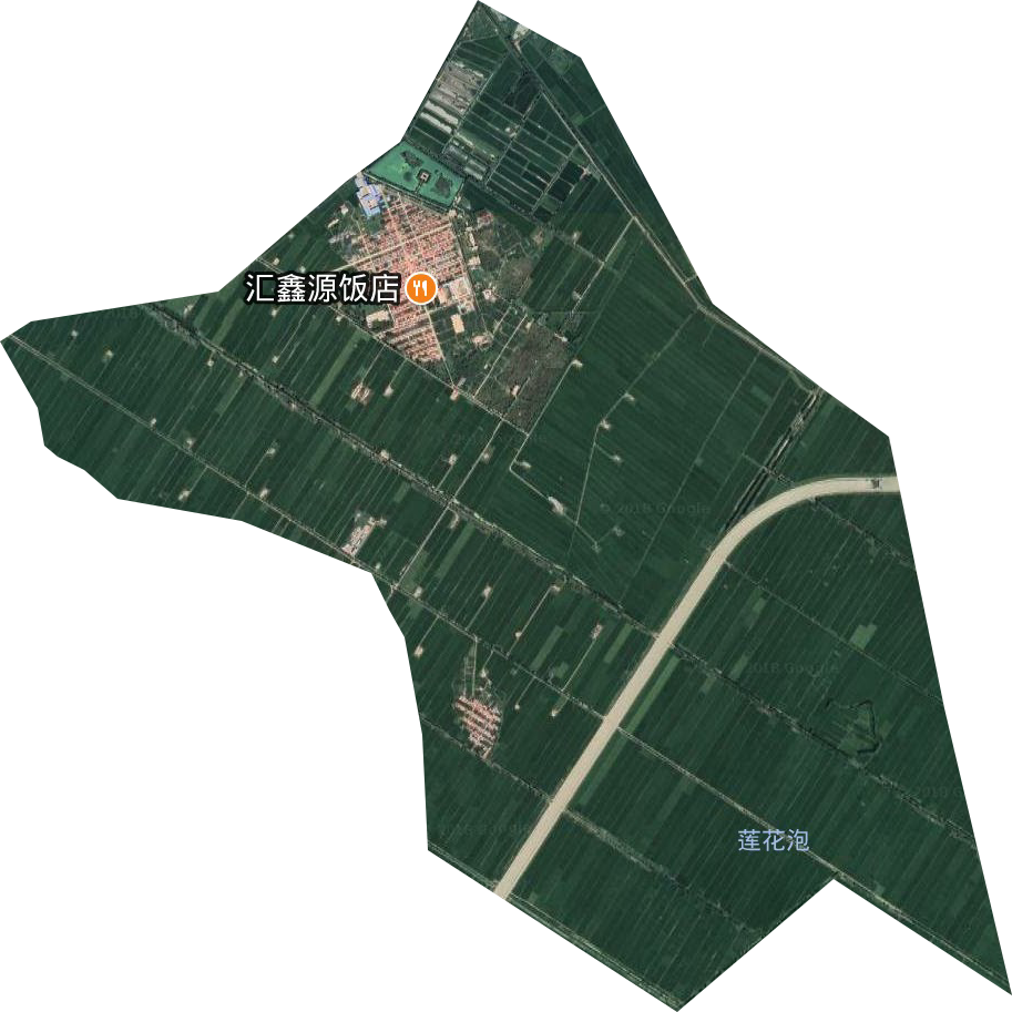 莲花泡农场卫星图