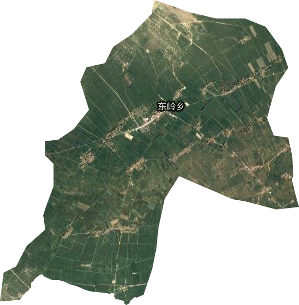 东岭乡卫星图