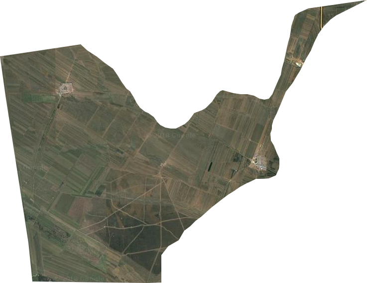 大岗林场卫星图