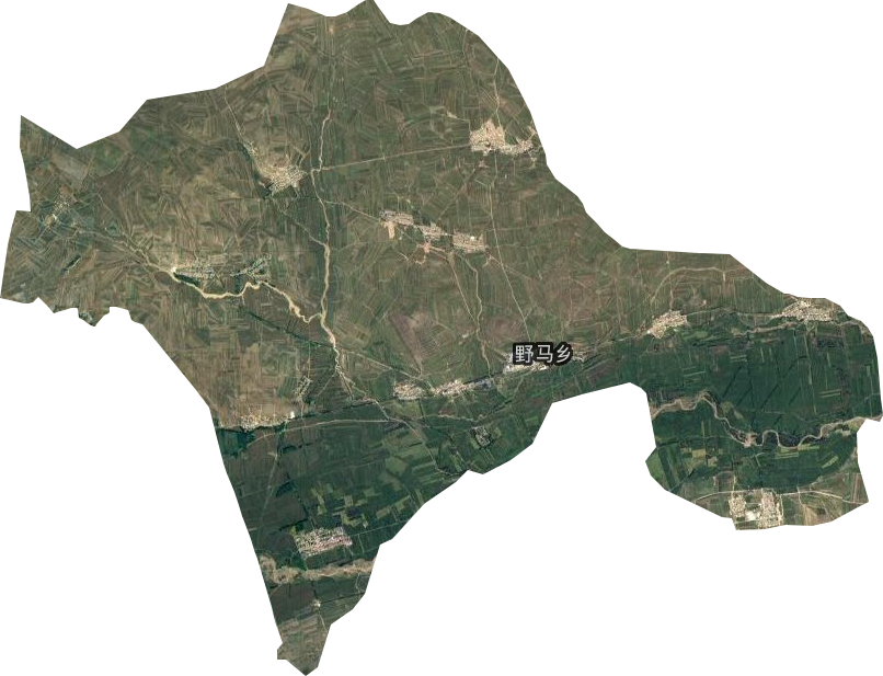 野马乡卫星图