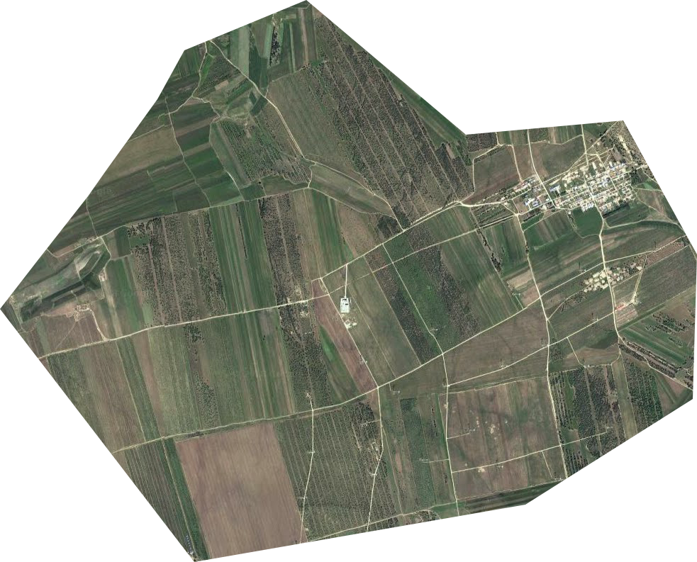 永茂林场卫星图