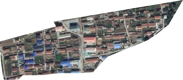 东山农场卫星图