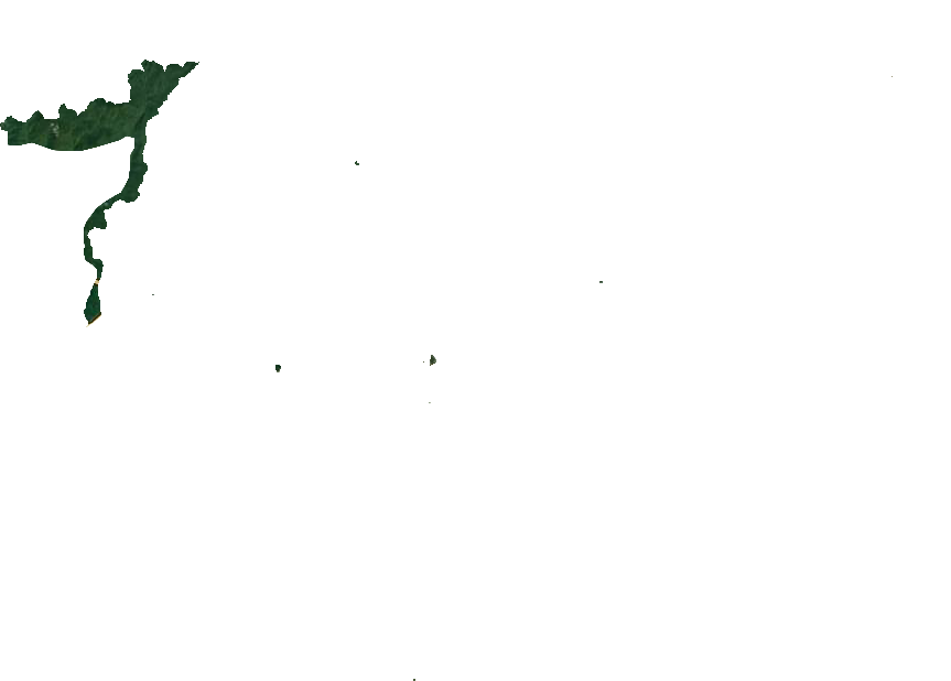 珲春林业局卫星图