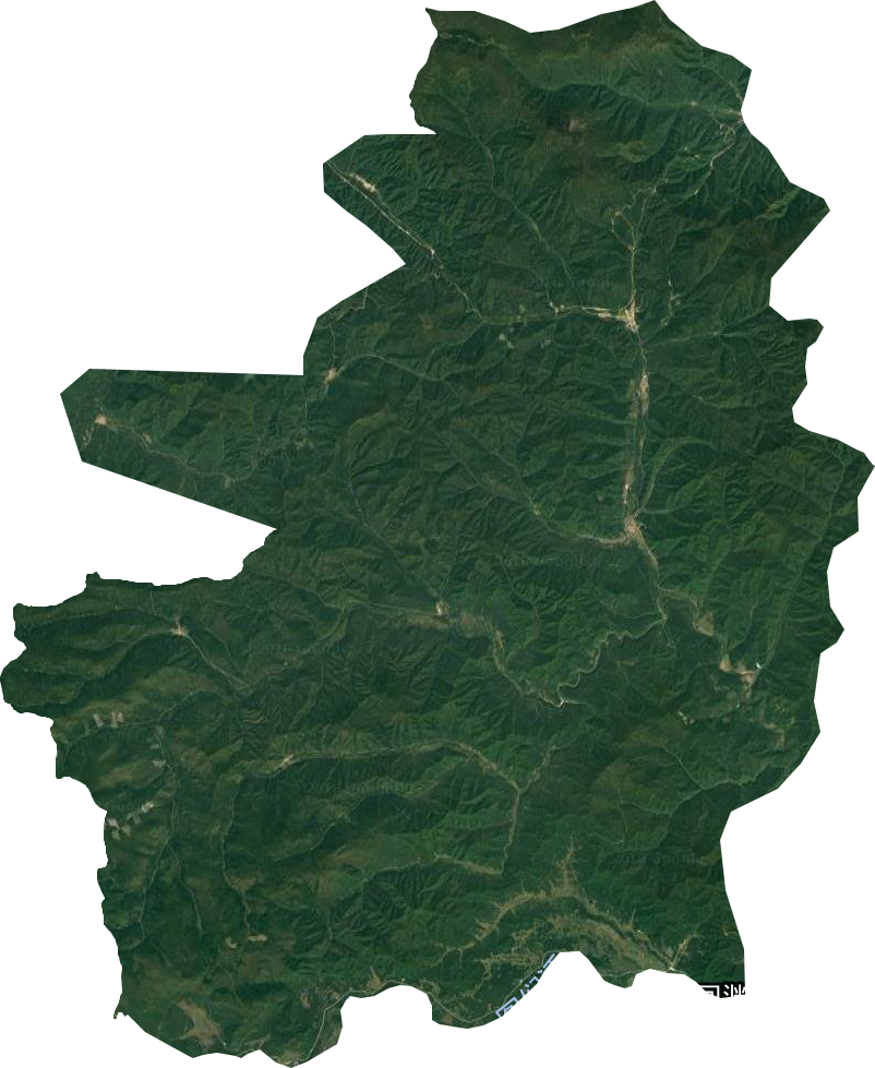 和龙林业局卫星图