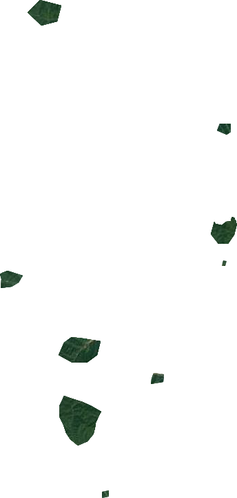 和龙市林业局卫星图