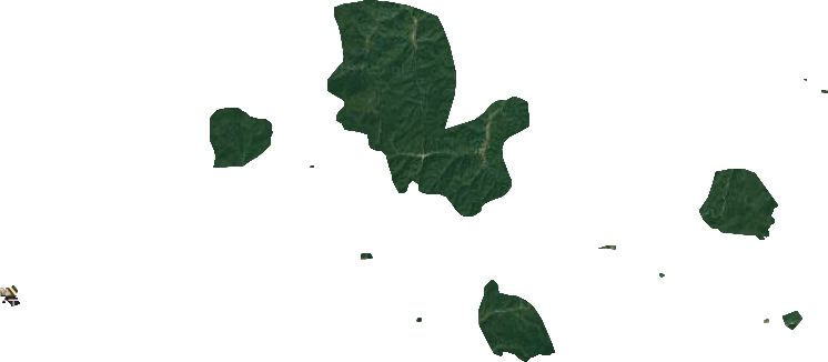 汪清林业局卫星图