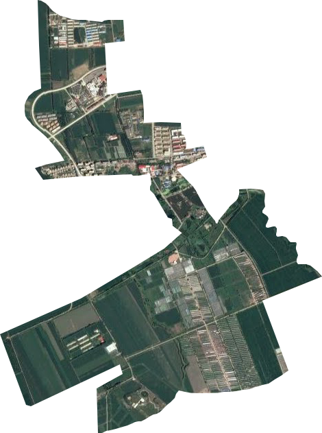 闫家岗农场卫星图