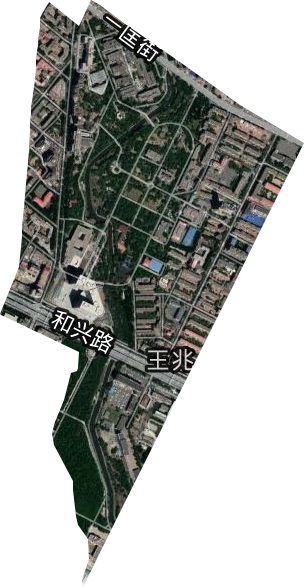 王兆街道卫星图