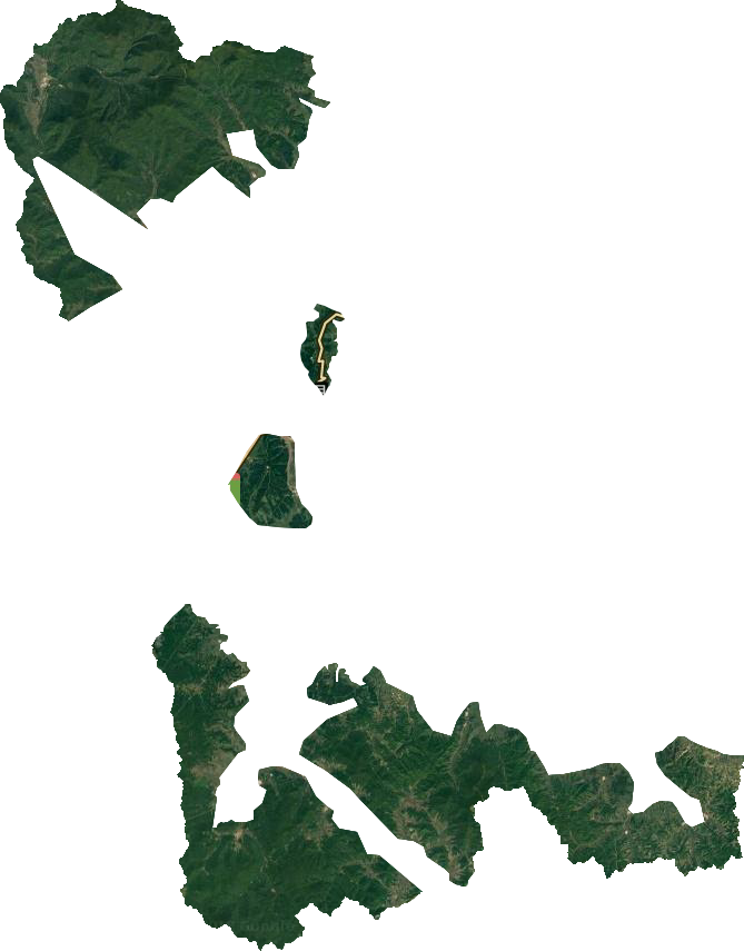 依兰县林业局卫星图