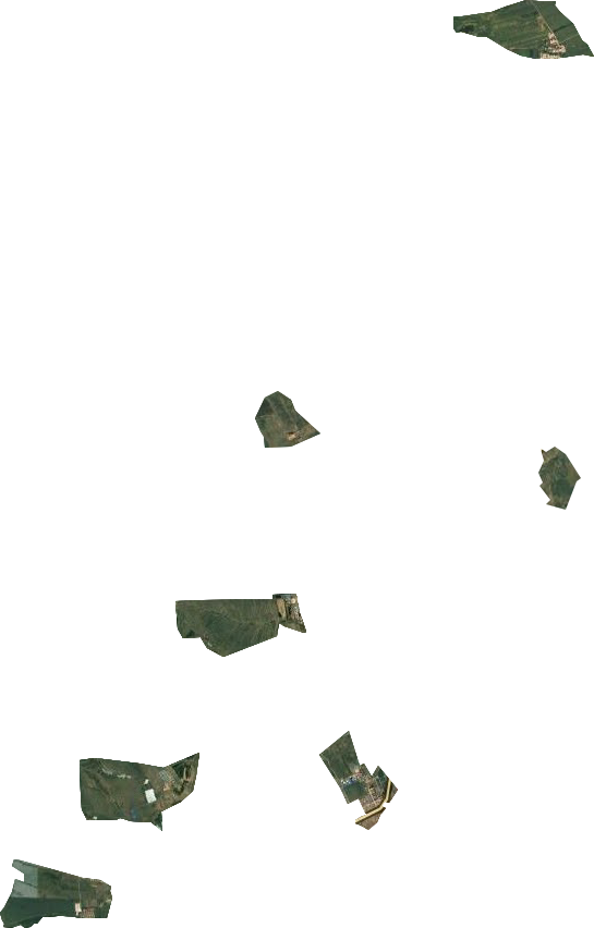 依兰农场卫星图