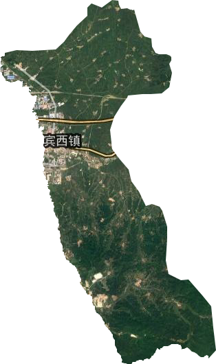 宾西镇卫星图