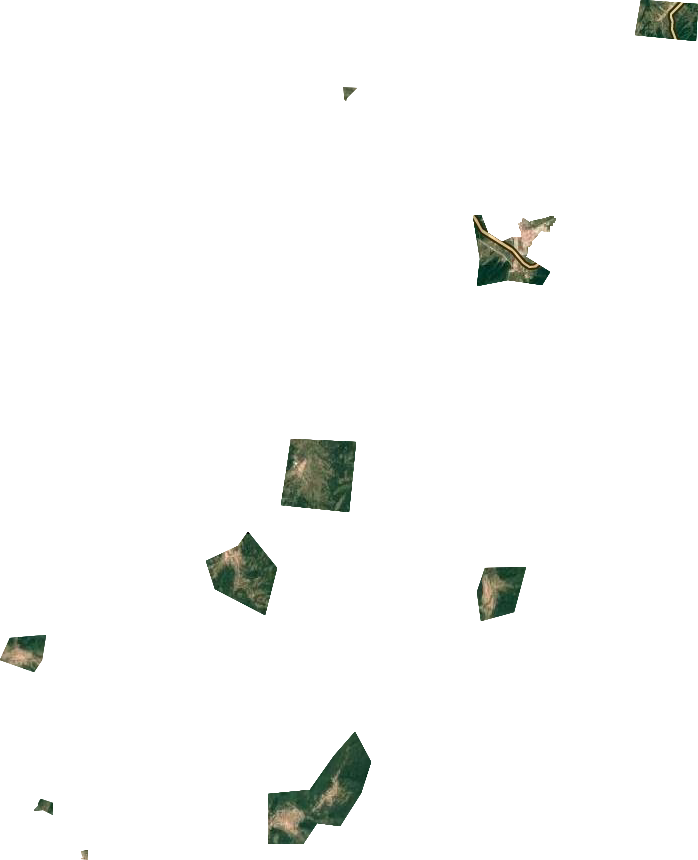 苇河林业局卫星图