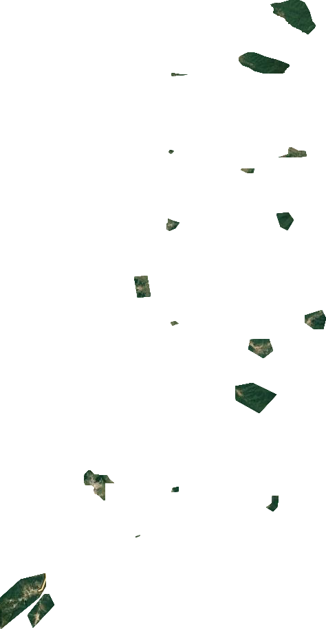 亚布力林业局卫星图