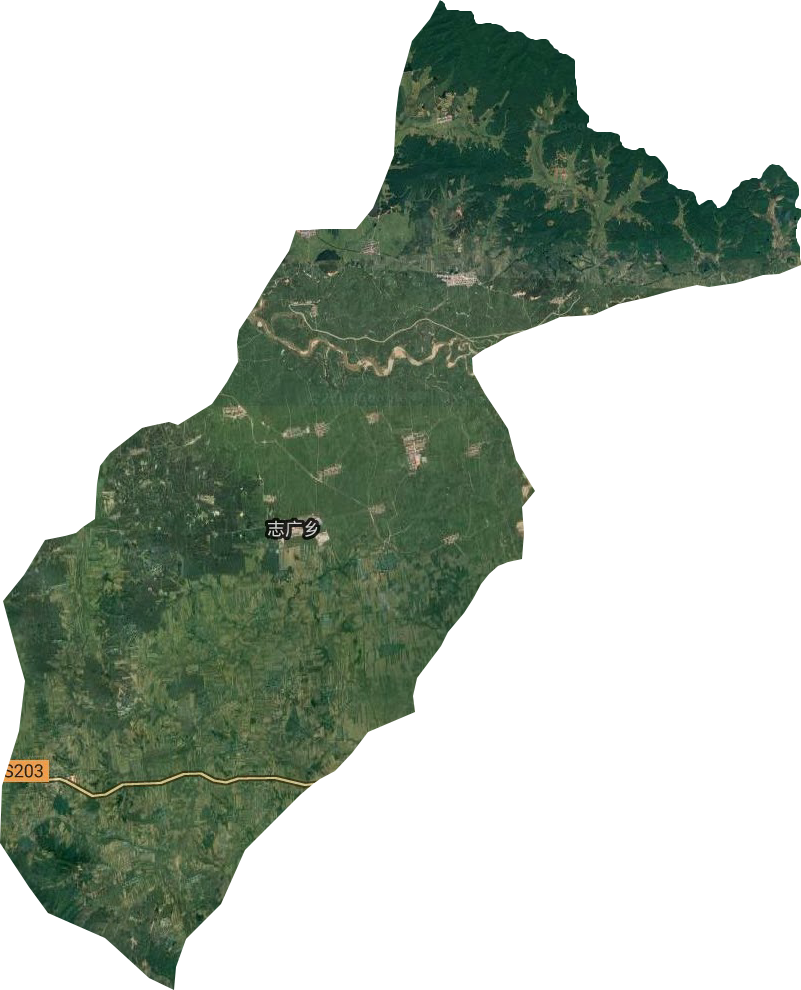 志广乡卫星图
