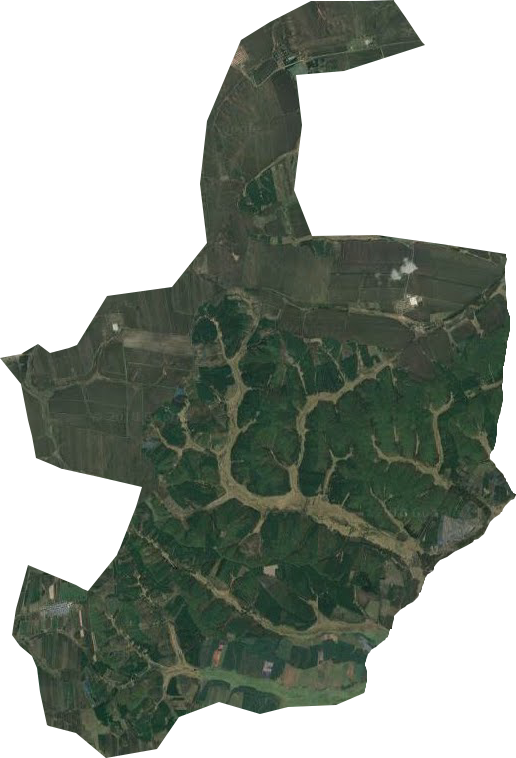 发展林场卫星图