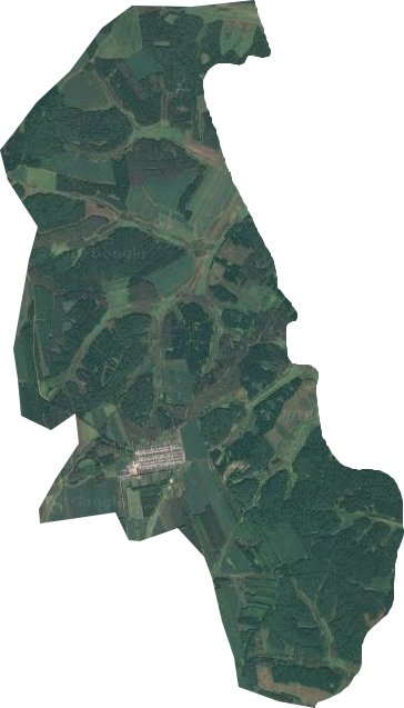 东兴林场卫星图