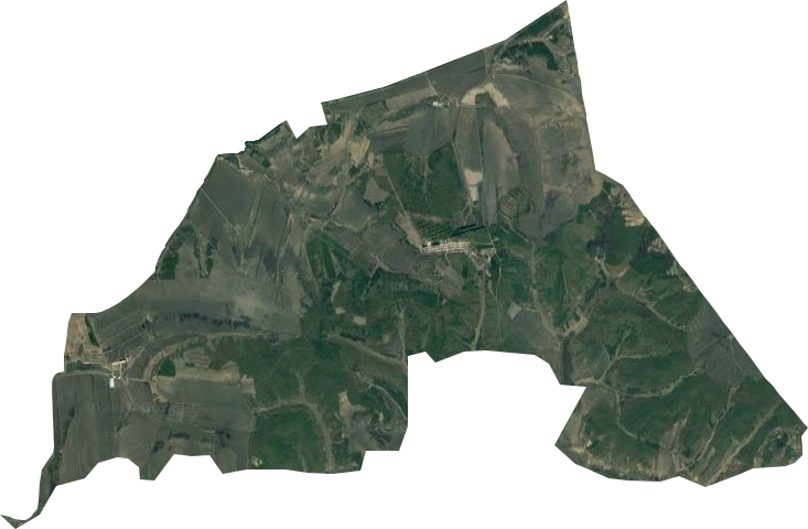龙河镇国庆林场卫星图