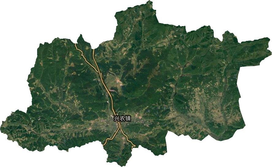 兴农镇卫星图