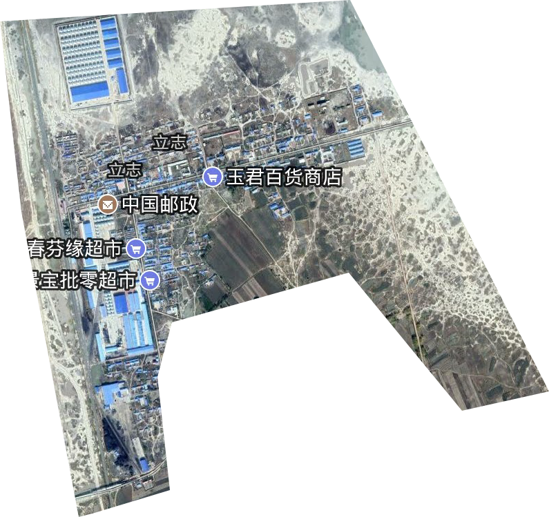 立志街道卫星图