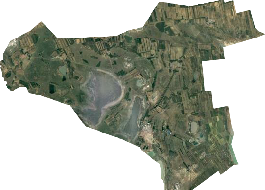 和平牧场卫星图
