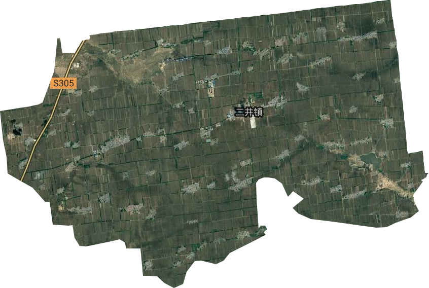 二井镇卫星图